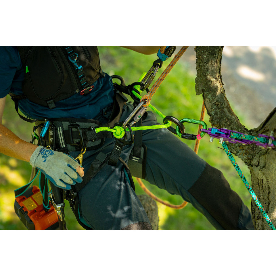 Notch Catalyst Harness
