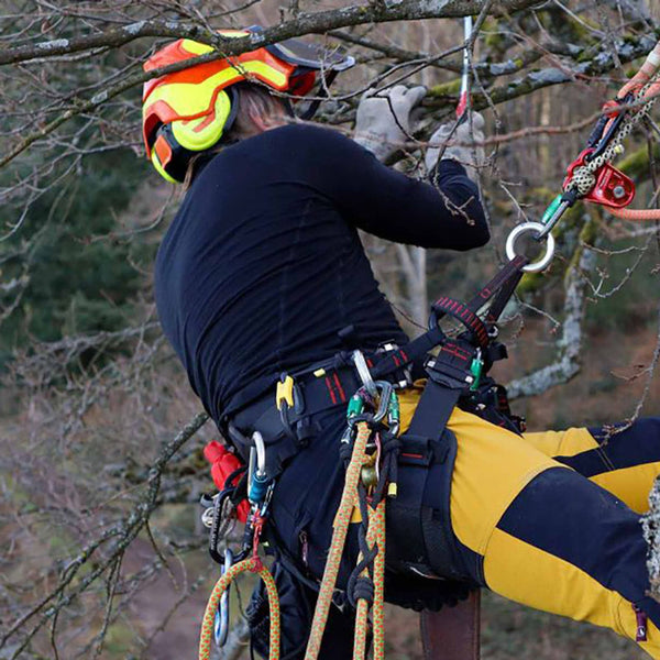 Tree Austria Pro Arborist Harness