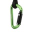 NOTCH D ALUMINUM CARABINER