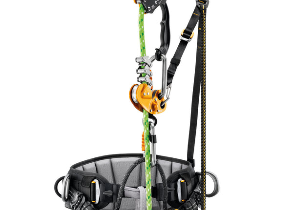 Petzl Sequoia Harness